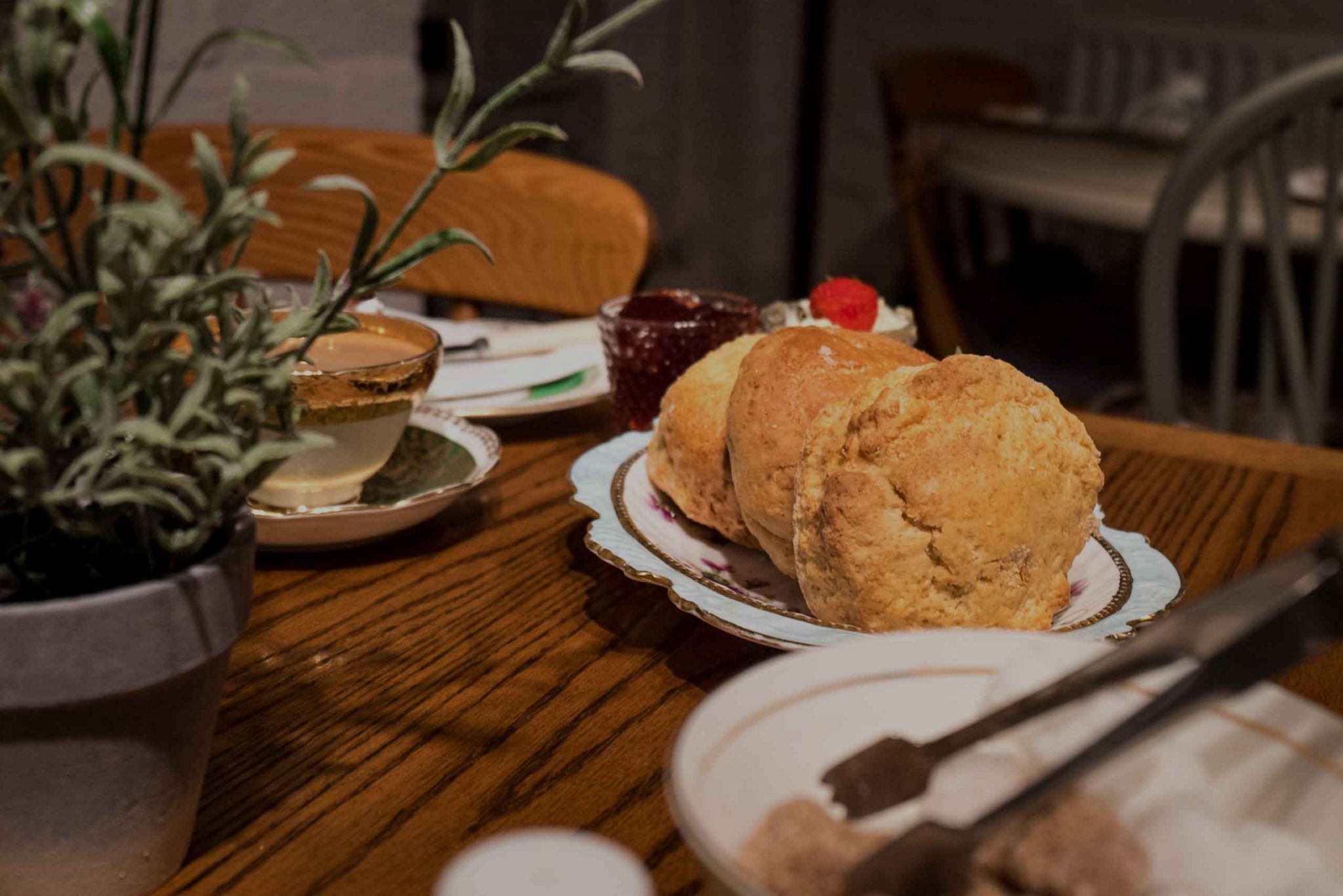 🌟 Free Workshop: Elevate Your Skills at the Vintage Tea Emporium